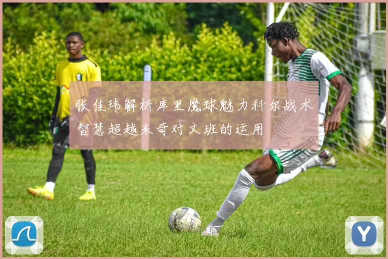 张佳玮解析库里魔球魅力科尔战术智慧超越米奇对文班的运用