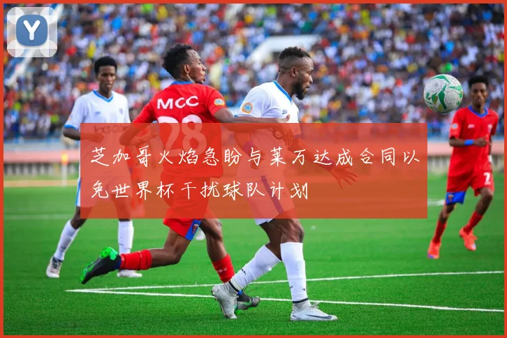 芝加哥火焰急盼与莱万达成合同以免世界杯干扰球队计划